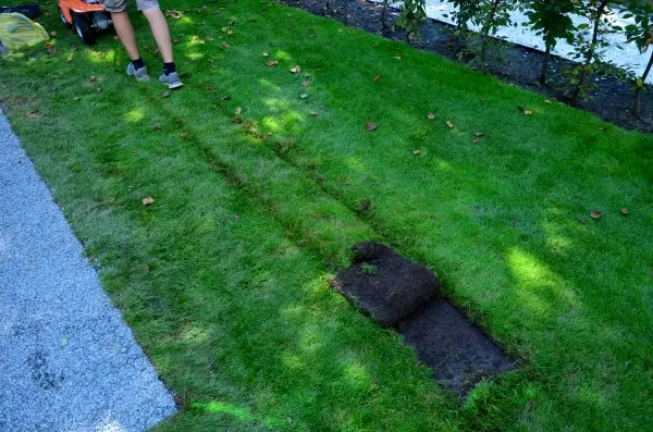 Landscaper unrolling sod