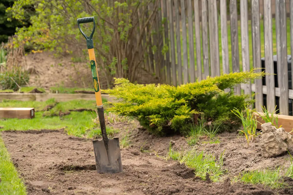 Shovel in dirt during sod removal