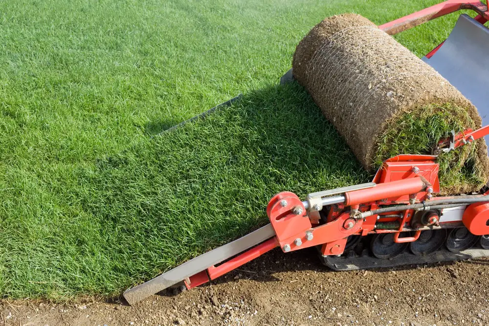 Power sod cutter on lawn