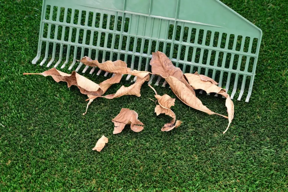 Rake clearing leaves on artificial turf.