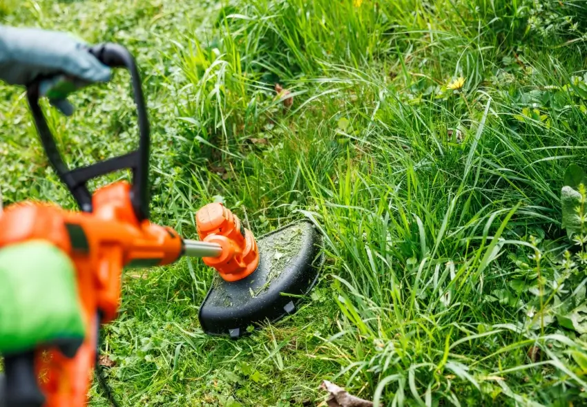 Landscaper using electric weed eater. 