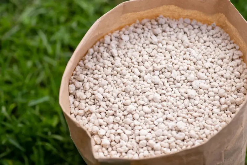 Close-up view of paper bag with fertilizer on green grass.