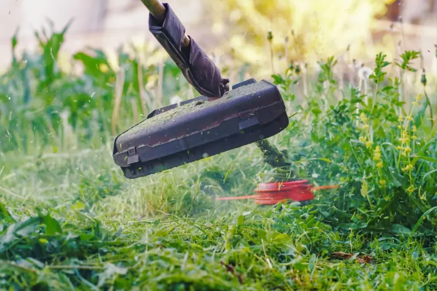 Landscaper using weed eater tool. 