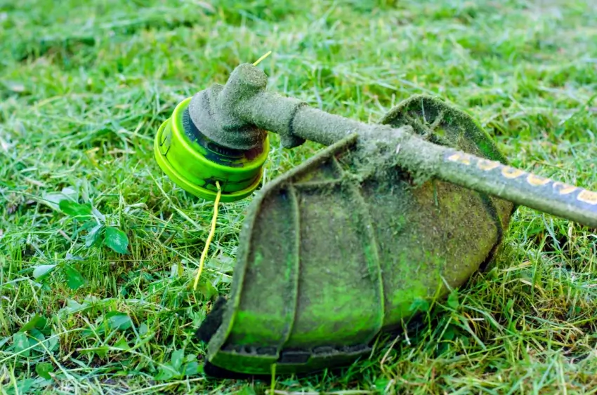 Gas weed eater tool on lawn. 