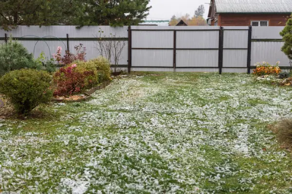 Residential backyard with light snow on grass