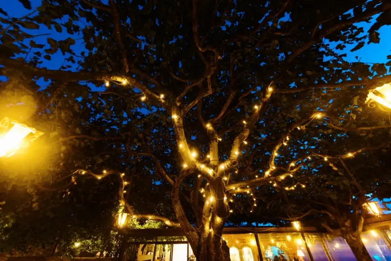 White holiday lights lit at night and hung in a tree outside a home.