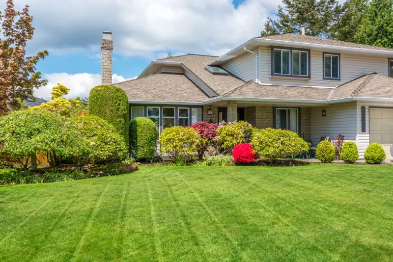 Healthy grass in residential front landscape