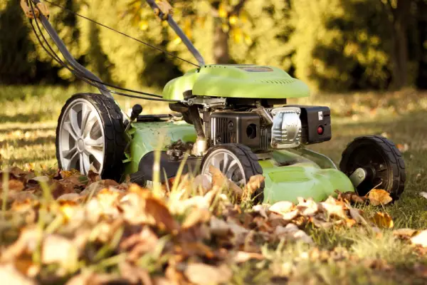 Mowing over leaves.