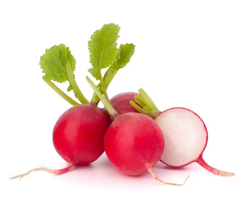 Radishes