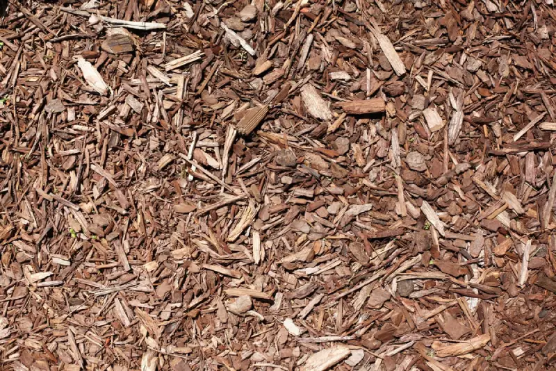 Wood chip mulch