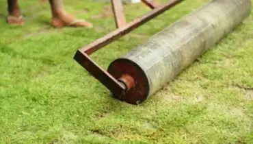 A steel drum being pressed into an uneven lawn.