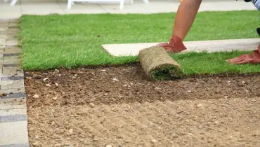 Transplanting Sod