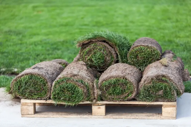 Rolls of sod for installation project in Canada.