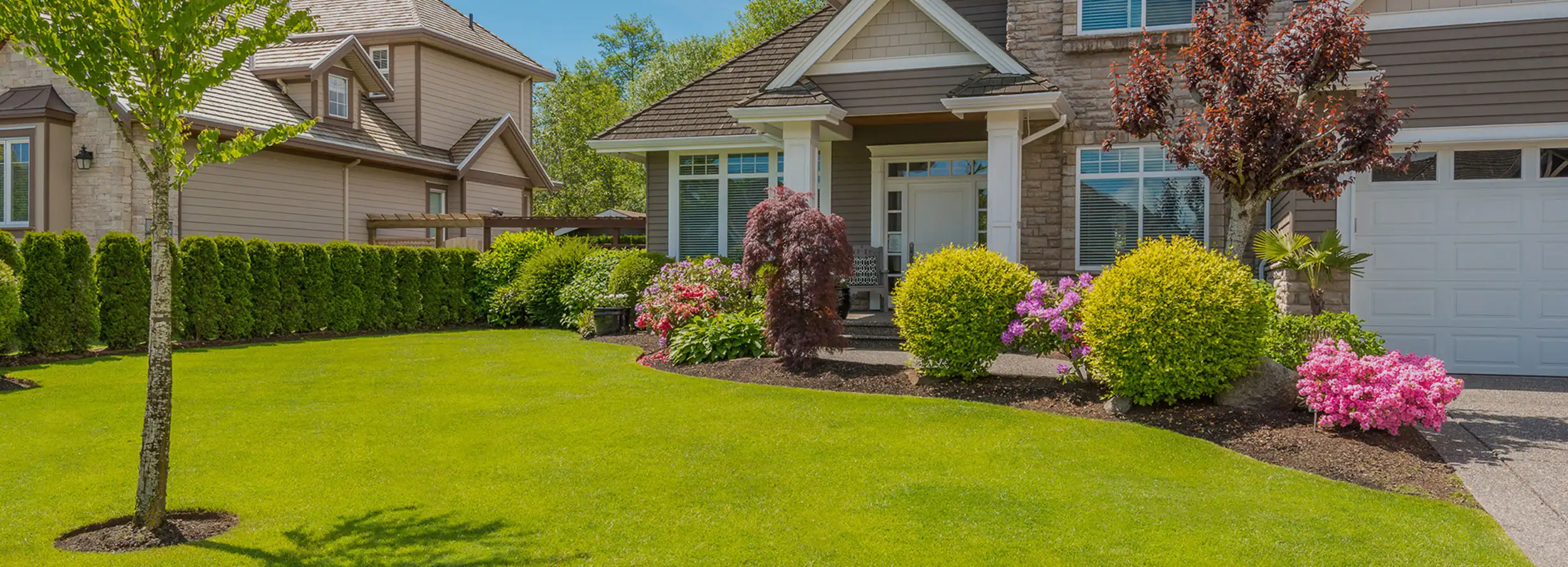 Large homewith well-manicured green lawn and landscaped plants and shrubs.