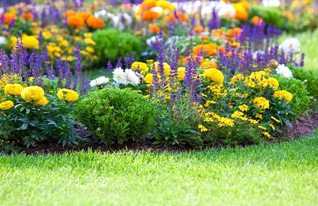 Blooming flower bed next to freshly trimmed grass.