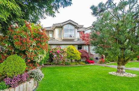 A beautiful residential lawn and landscape