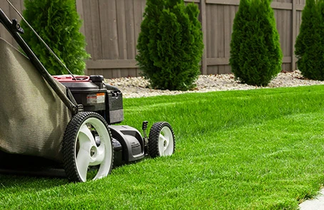 Lawn mower cutting grass with trimmed bushes in the background.